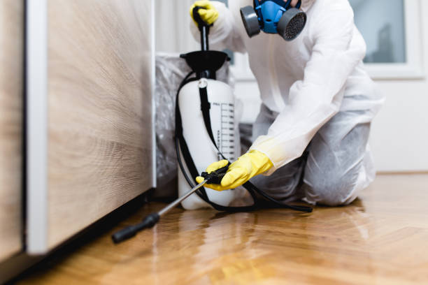 Best Affordable Pest Control Services  in Humble, TX