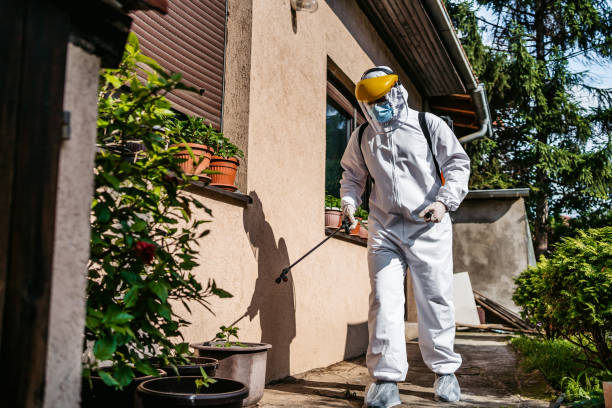 Best Flea Control Services  in Humble, TX