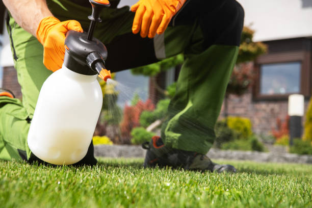 Best Exterminator Services  in Humble, TX