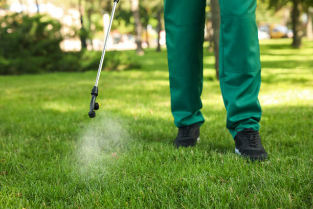 Best Cockroach Control Services  in Humble, TX