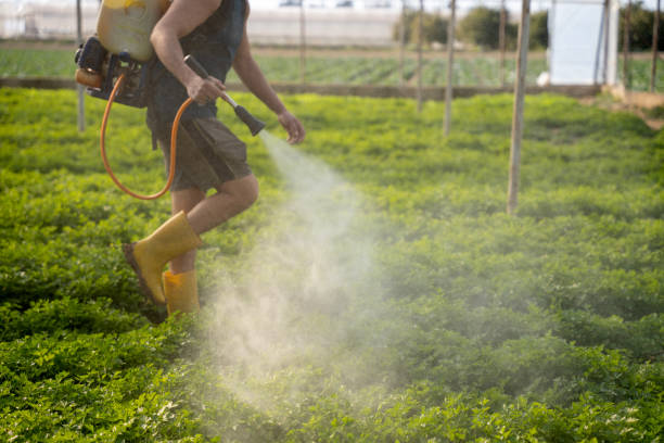 Reliable Humble, TX Pest Control Solutions