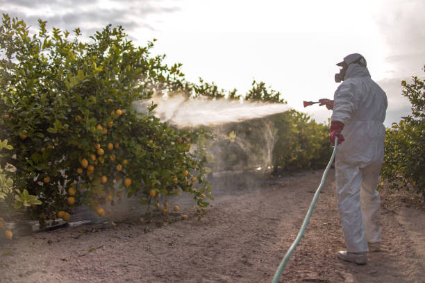Humble, TX Pest Control Company