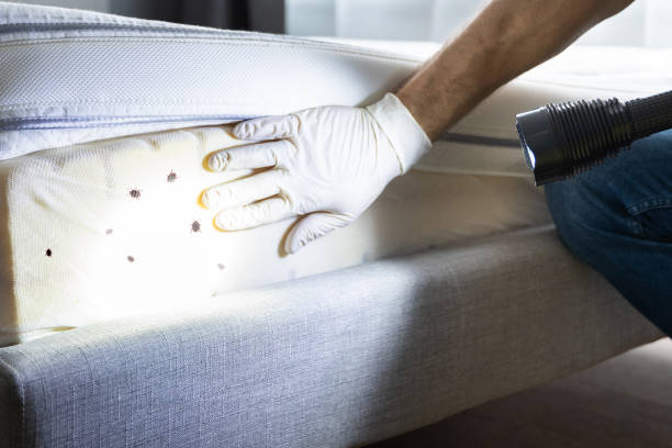 Best Residential Pest Control  in Humble, TX