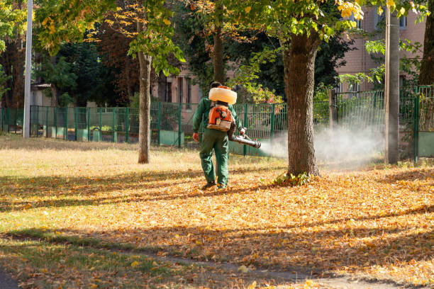 Best Termite Control Services  in Humble, TX