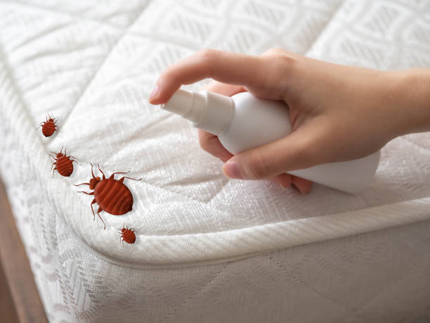 Best Best Pest Control Companies  in Humble, TX