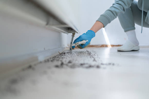 Best Emergency Pest Control  in Humble, TX