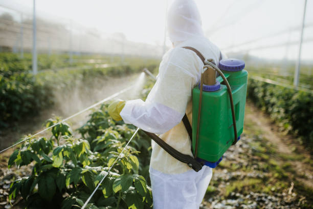 Best Wildlife Control Services  in Humble, TX